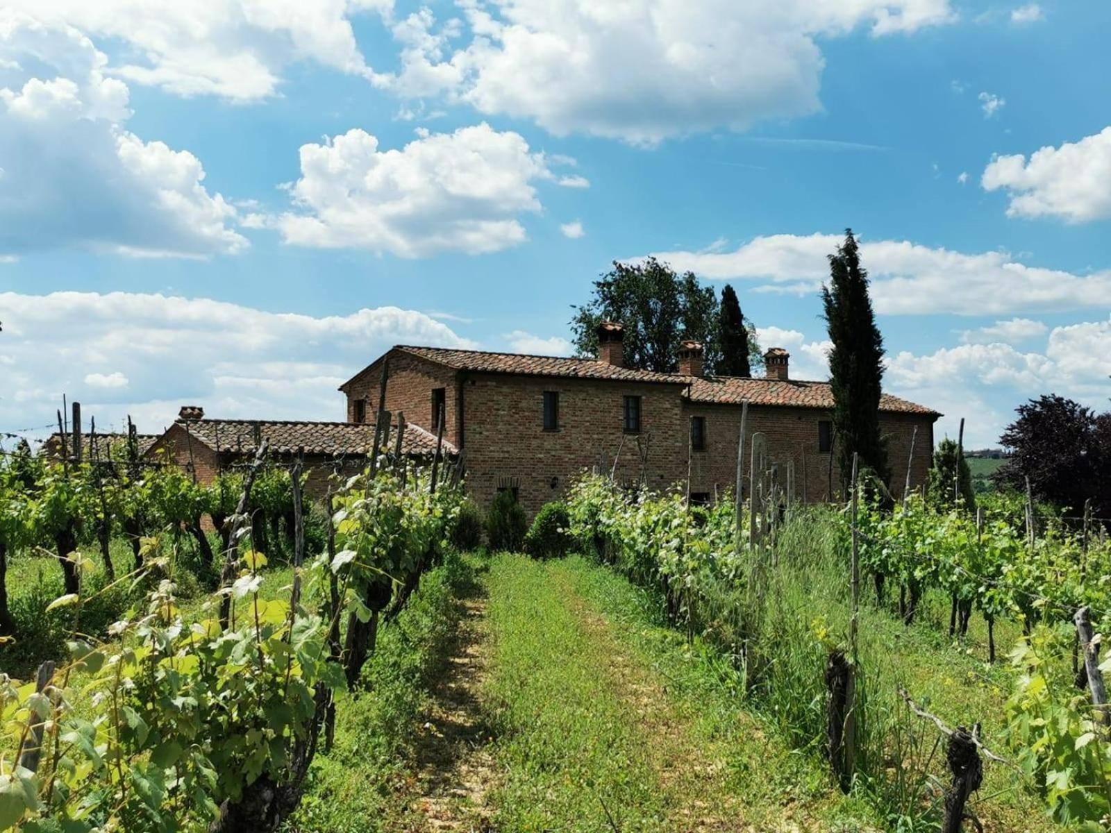 Valiano Agriturismo I Fuochiヴィラ エクステリア 写真